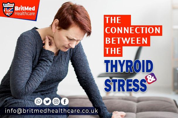 The Connection Between the Thyroid & Stress